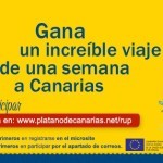 sorteo, sorteo viaje, viaje gratis, regalo seguro, regalo directo,