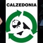 calzedoniaa