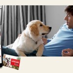 Concurso Purina