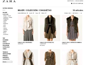 Zara online
