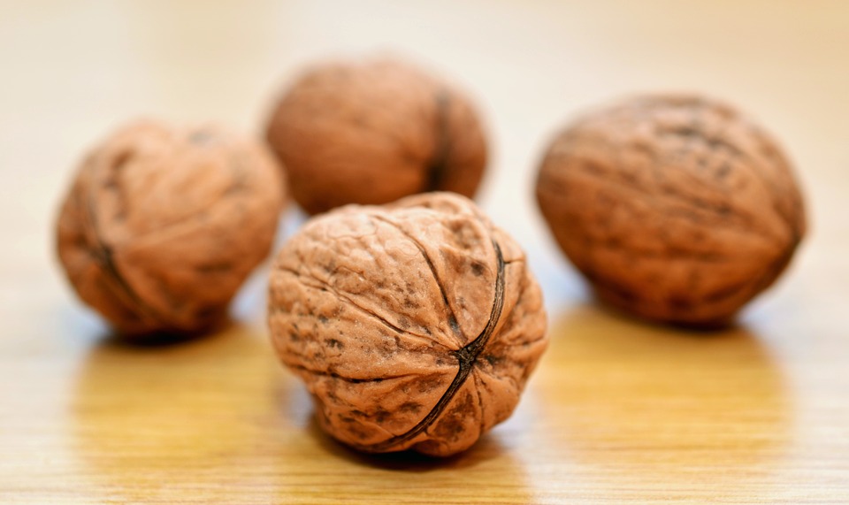 walnuts-552975_960_720