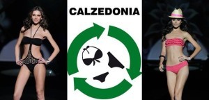 calzedoniaa
