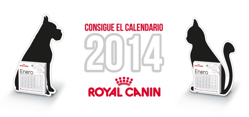 calendario royal canin gratis