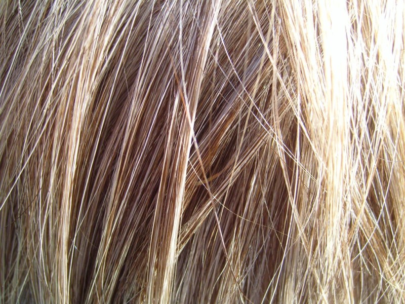Cómo afecta el otoño al pelo