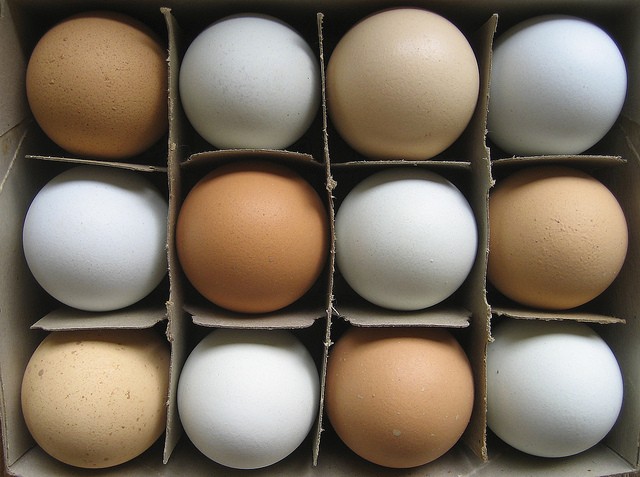 huevos frescos