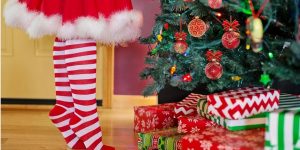 comprar arbol
