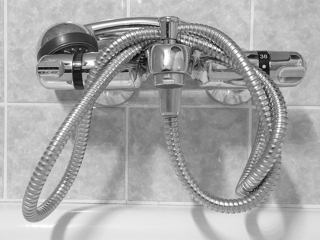 ahorrar agua en la ducha