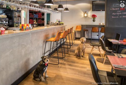 bares para ir con perros en madrid
