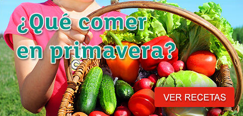 Recetario gratis online de Consumer