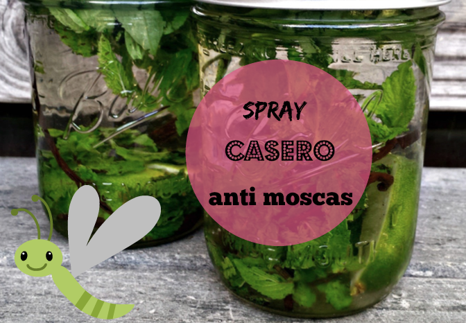 spray casero antimoscas