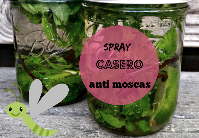 Spray anti moscas casero