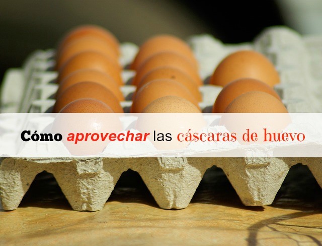 eggs-664848_640 eggs-664848_640