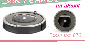 Persona ganadora Roomba 870