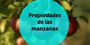 propiedades de las manzanas