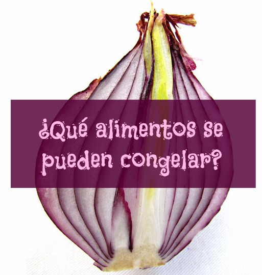 ¿Qué alimentos se pueden congelar?