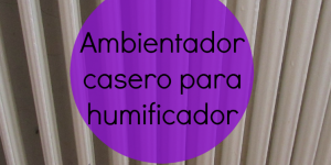 humificador casero para radiador