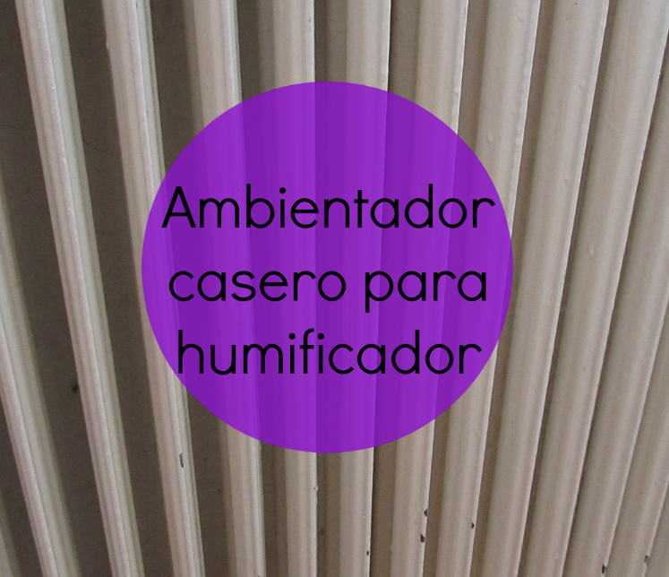 Ambientador casero para humificador ›