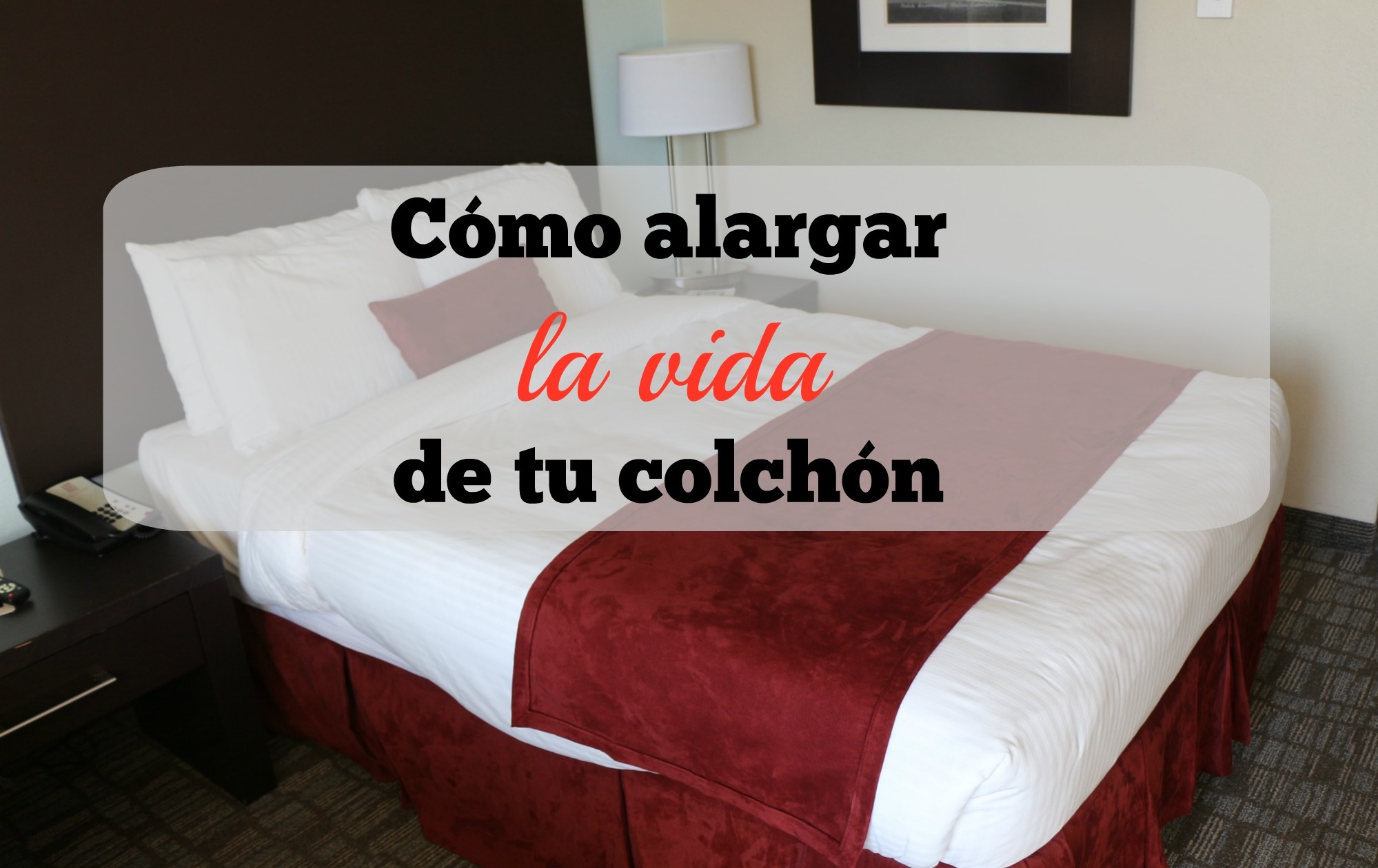UMass_Hotel_bed