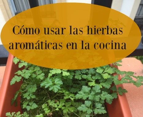 Cómo usar las hierbas aromáticas en la cocina