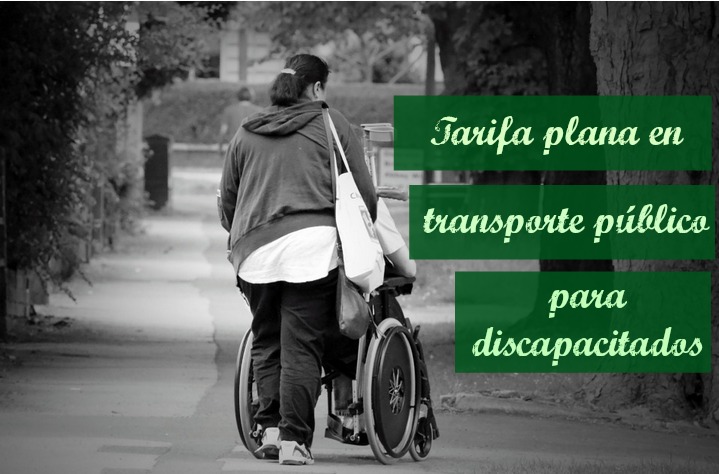 disca fin