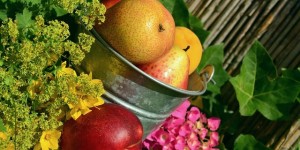 Cómo aprovechar la fruta madura