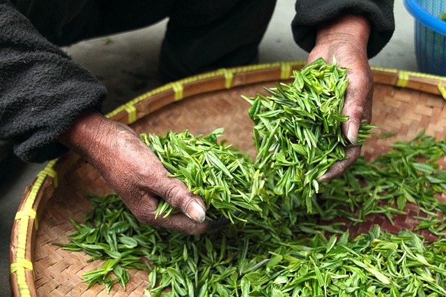 ¿Te atreves a cocinar con té?