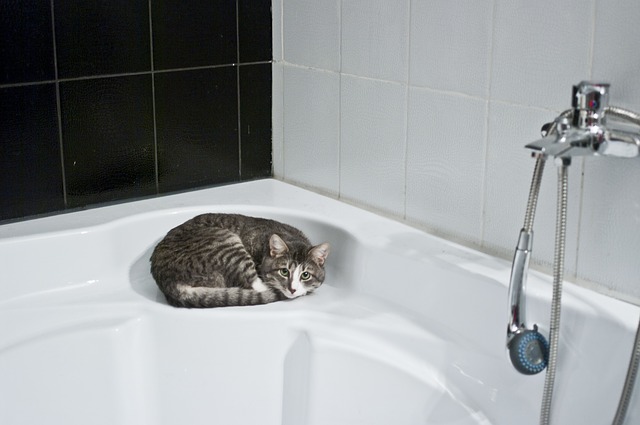 Trucos para limpiar la casa sin detergentes