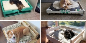Haz una cama para mascota con un palet