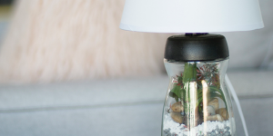 DIY: Lámpara terrario