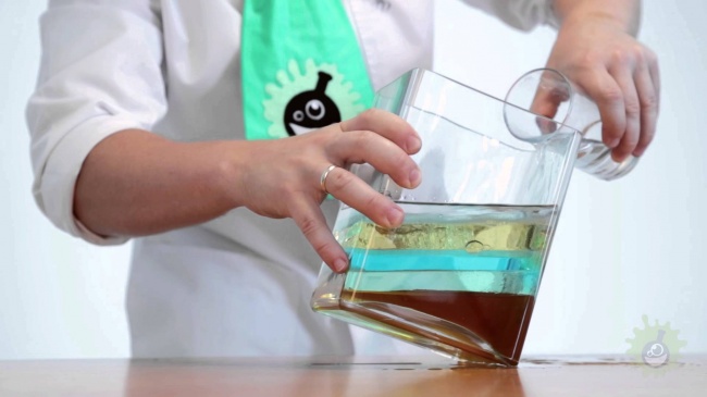 5 experimentos muy baratos para niños