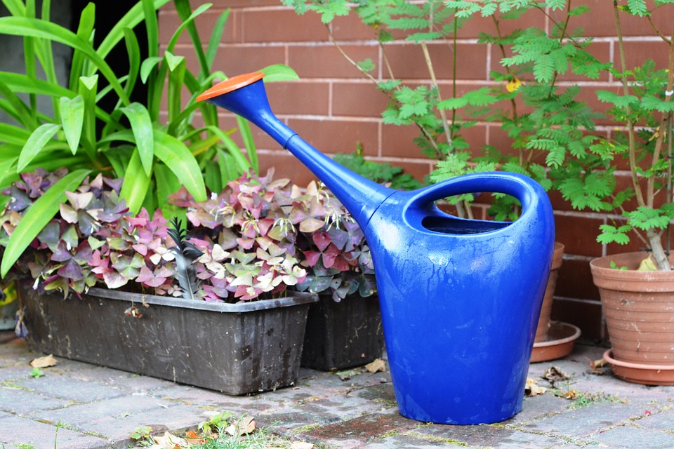 watering-can-887714_960_720