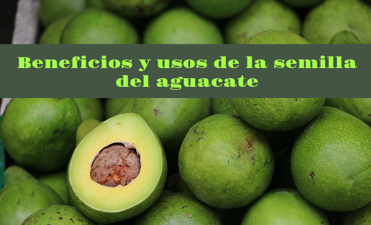 Beneficios y usos de la semilla del aguacate