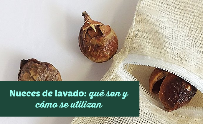 Nueces de lavado: qué son y cómo se utilizan