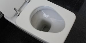 cal wc