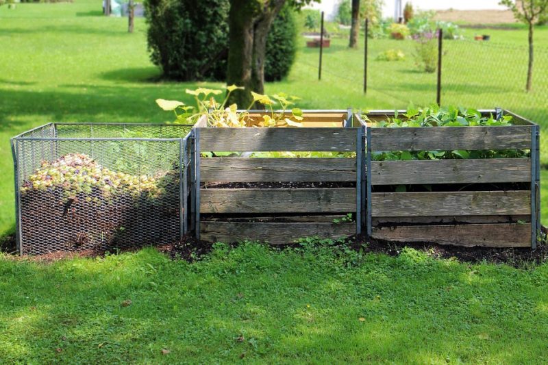 Cómo hacer compost con desperdicios orgánicos