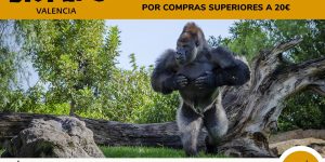 entrada gratis bioparc consum