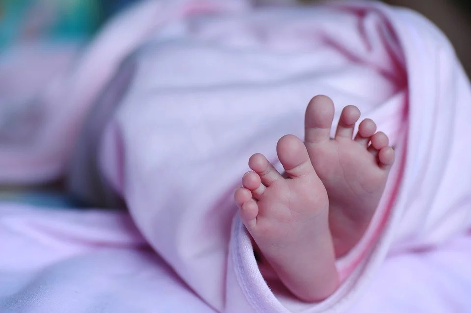 ayudas maternidad_ subvenciones