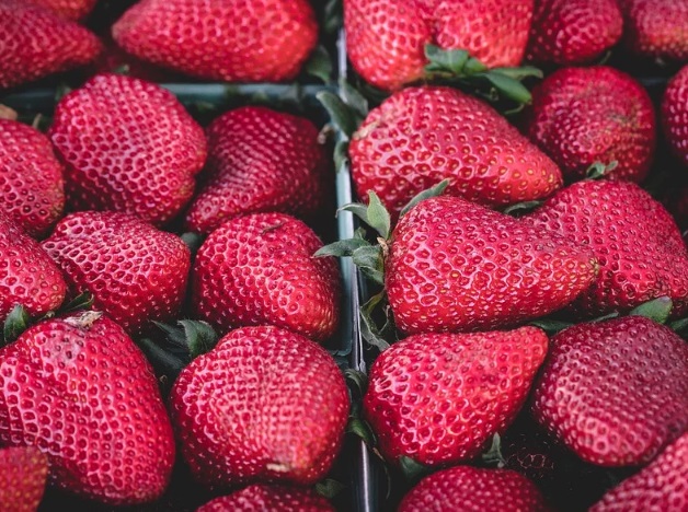 fresas maceradas