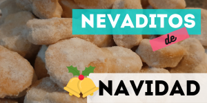 RECETA NEVADITOS