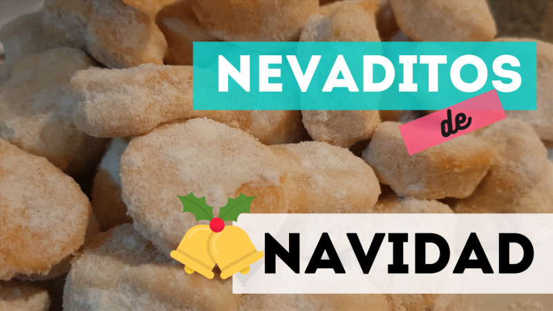 RECETA NEVADITOS