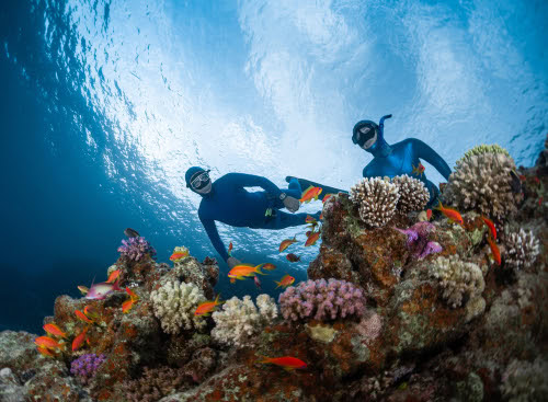 intermundial seguro aqua sport