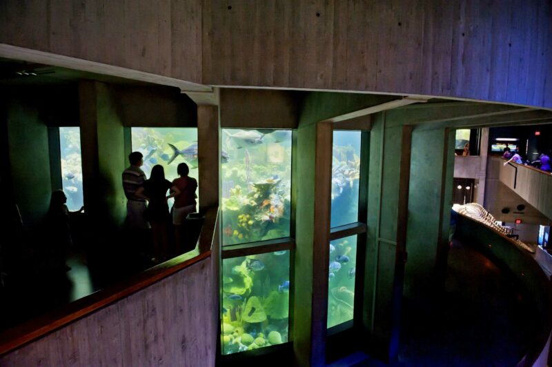Código Descuento para New England Aquarium en Boston