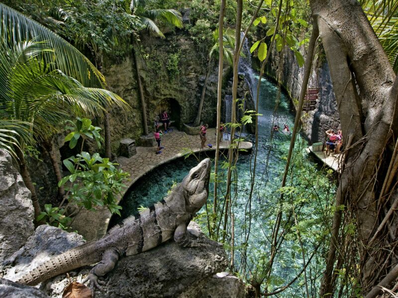 Código Descuento para Parque Xcaret en México