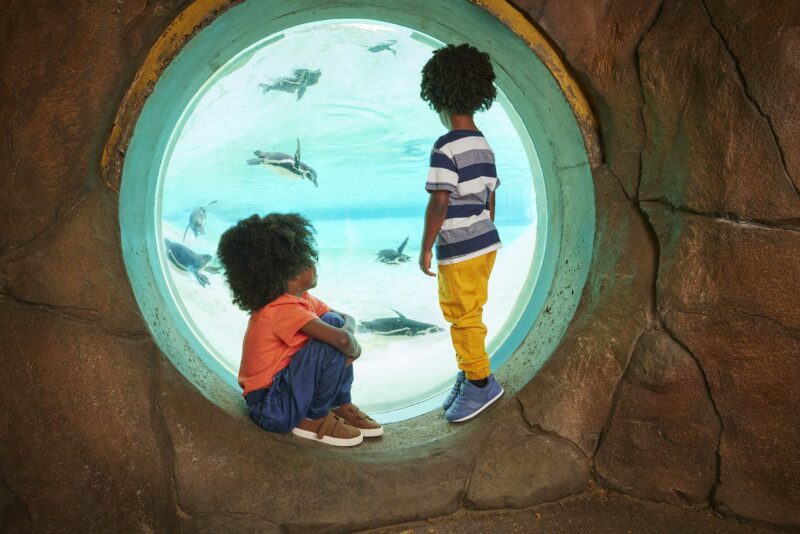 Código descuento Zoo de Londres