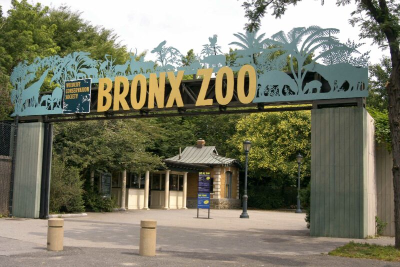 Código descuento Zoológico del Bronx