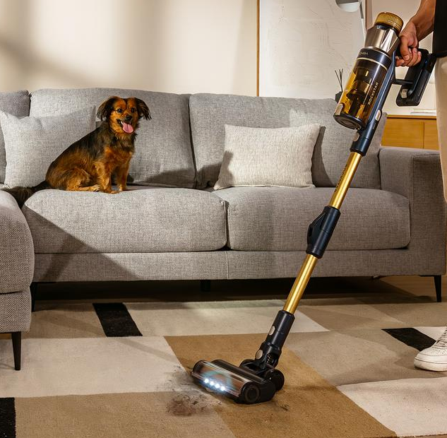 Opinión de Conga Rockstar RS90 Pet Flex de Cecotec