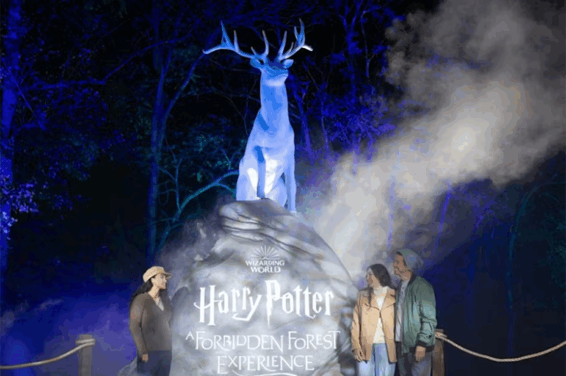 Código descuento para Harry Potter™: A Forbidden Forest Experience Cincinnati