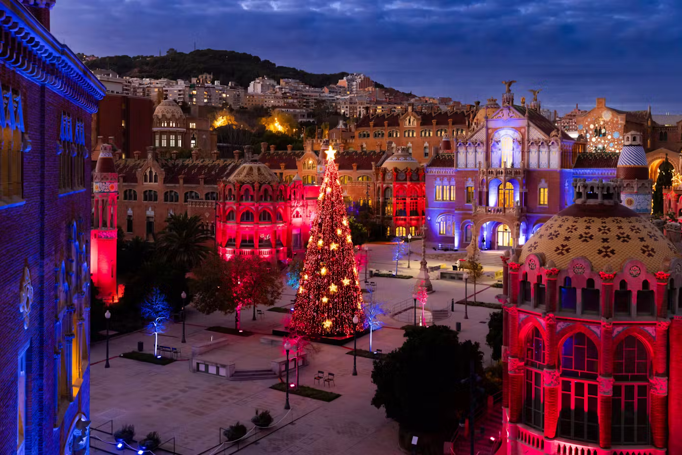 Código descuento para Els Llums de Sant Pau: Christmas Garden