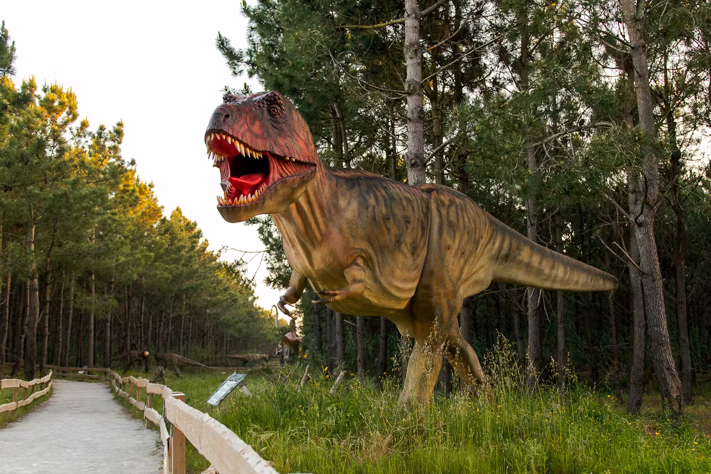 C贸digo descuento para Dino Parque Lourinh茫
