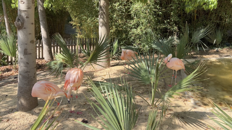 002 terra natura codigo descuento pase anual